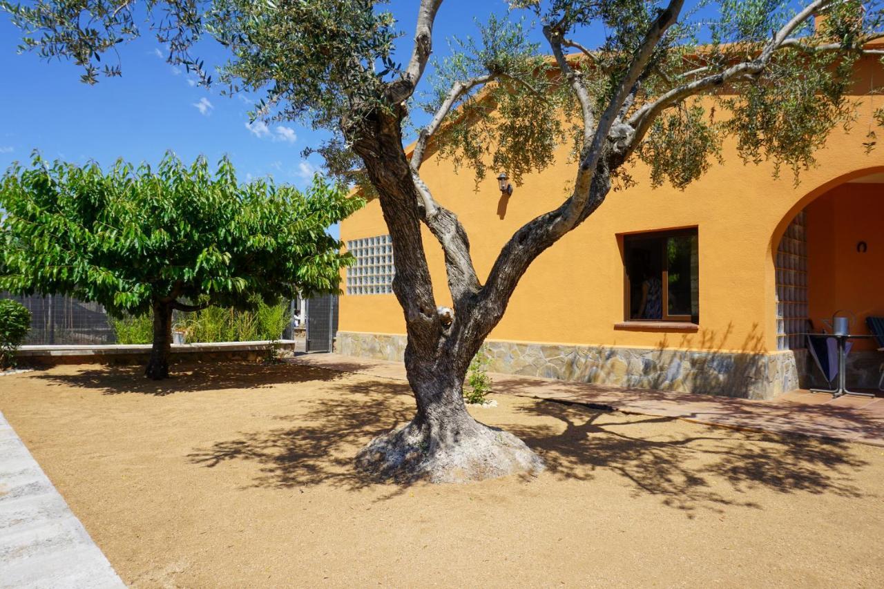Casa Martina Villa Cardedeu Ngoại thất bức ảnh